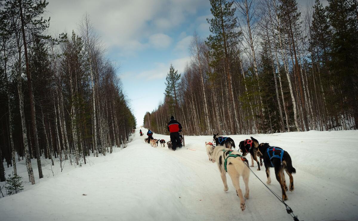 Nebim-teambuilding-lapland-11