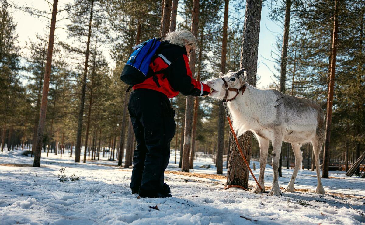 Nebim-teambuilding-lapland-49