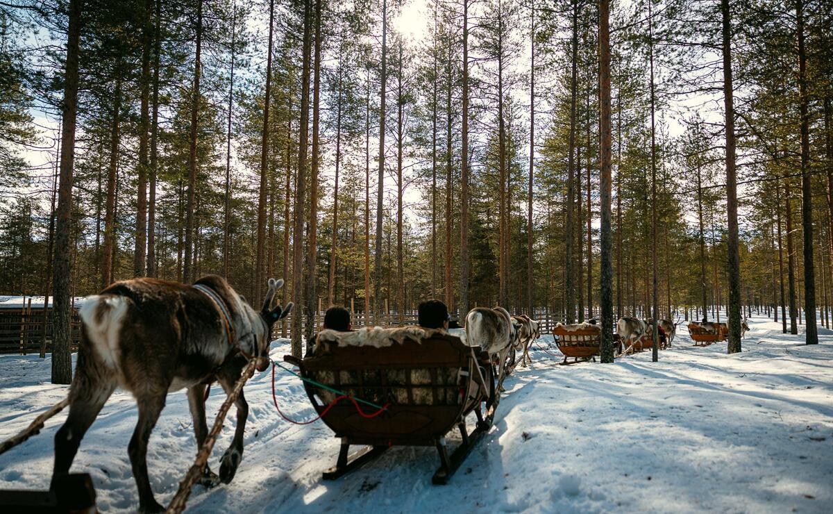 Nebim-teambuilding-lapland-48