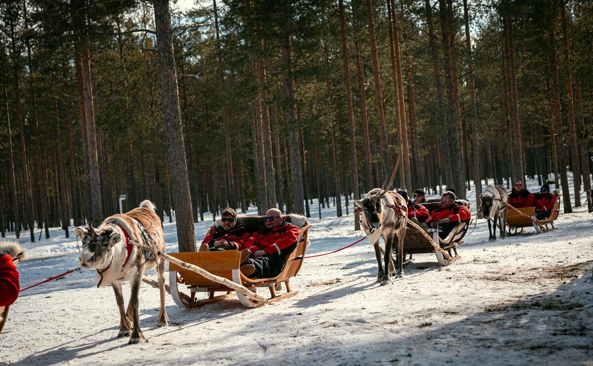 Nebim-teambuilding-lapland-47