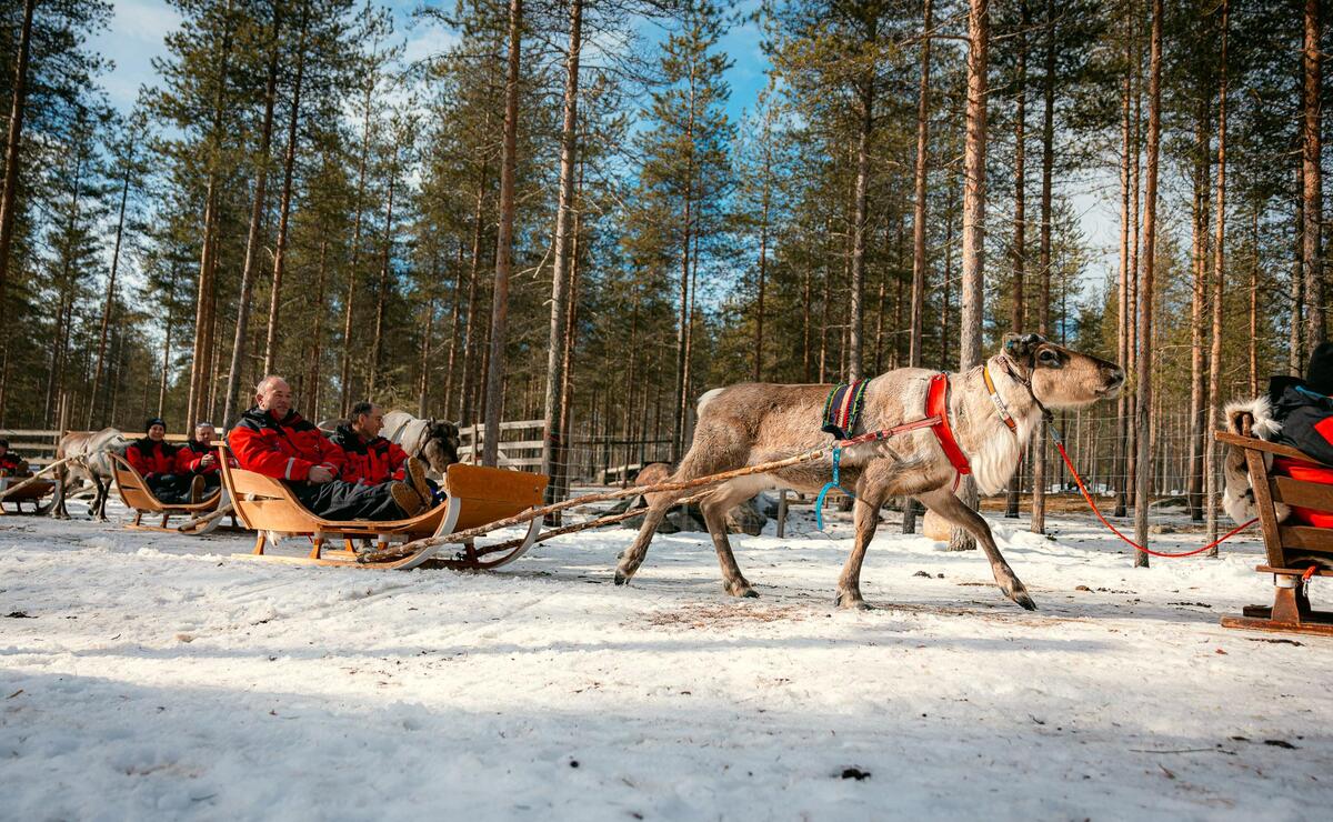 Nebim-teambuilding-lapland-52