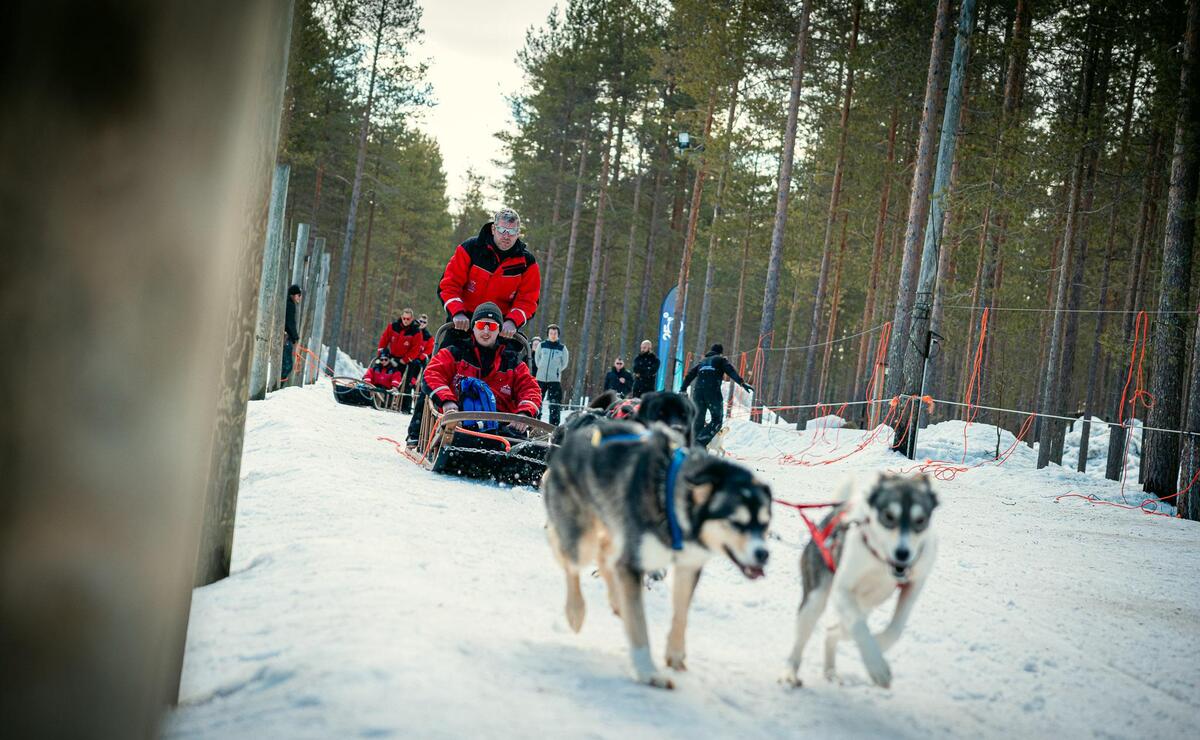Nebim-teambuilding-lapland-45