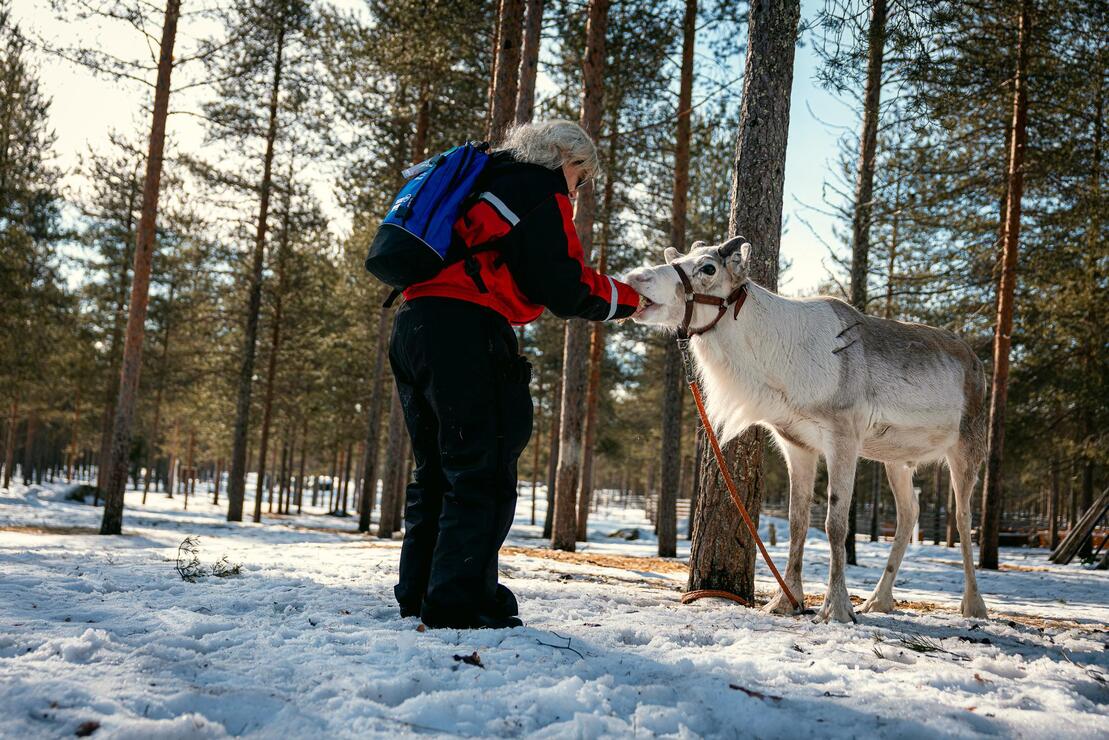 Nebim-teambuilding-lapland-49